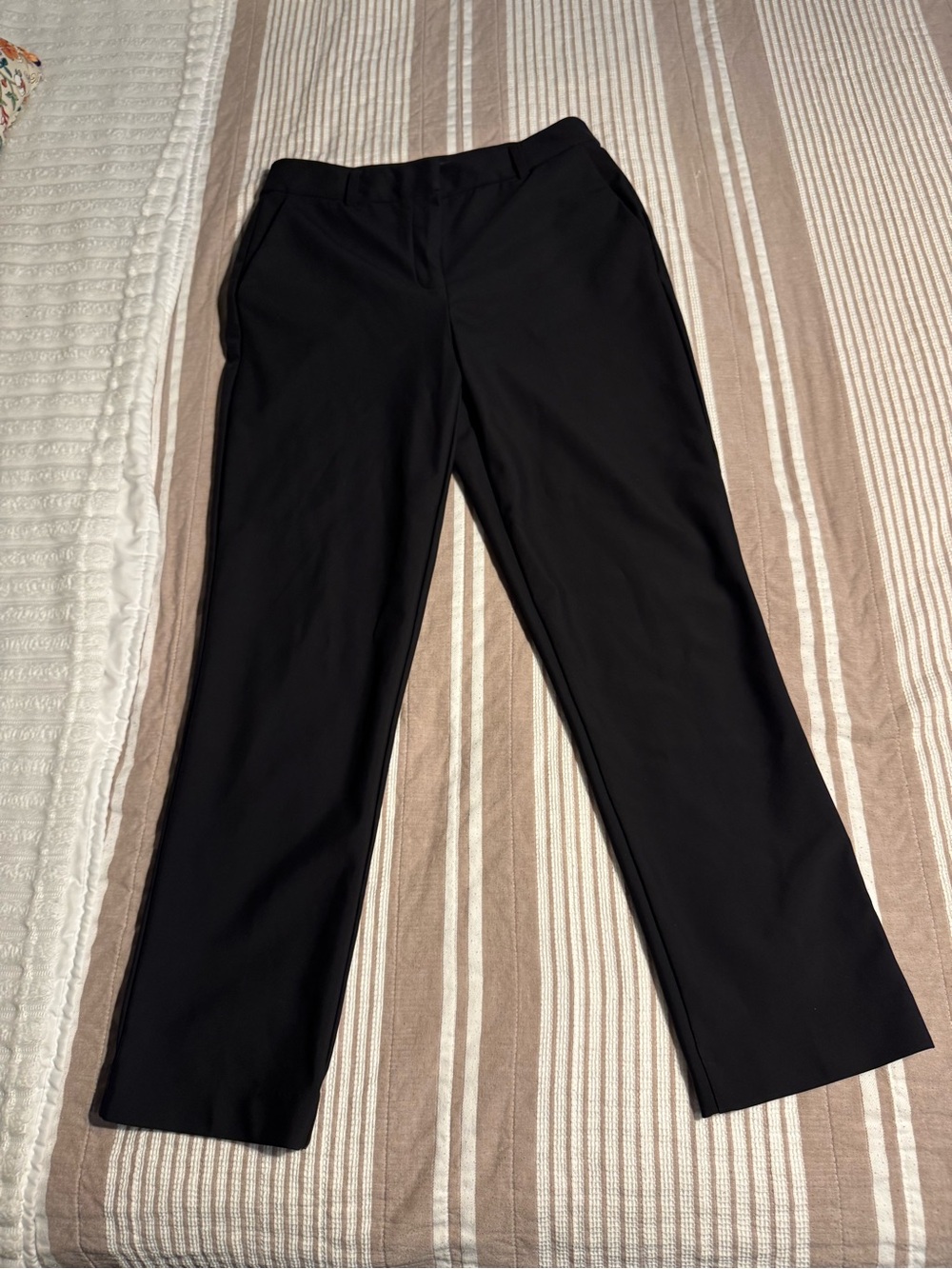 Women’s Dress Pants